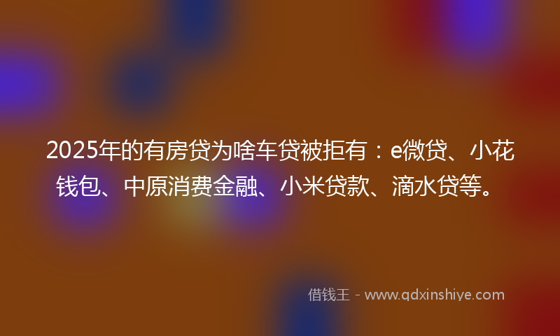 2025年的有房贷为啥车贷被拒有：e微贷、小花钱包、中原消费金融、小米贷款、滴水贷等。