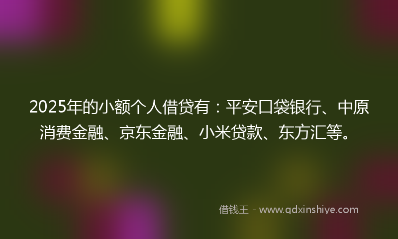 2025年的小额个人借贷有：平安口袋银行、中原消费金融、京东金融、小米贷款、东方汇等。