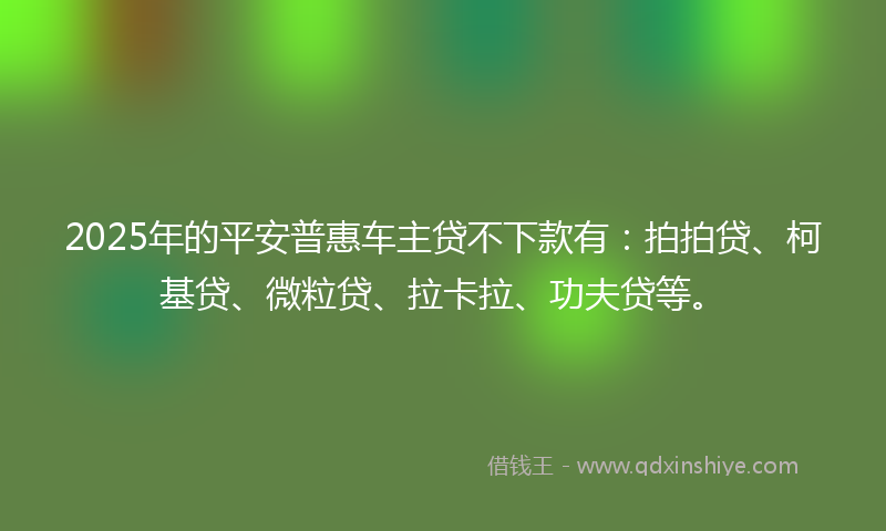 2025年的平安普惠车主贷不下款有：拍拍贷、柯基贷、微粒贷、拉卡拉、功夫贷等。
