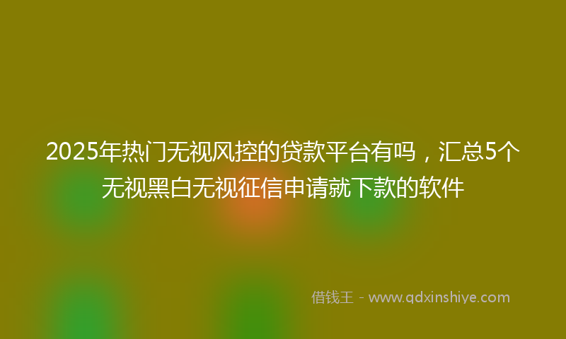 2025年热门无视风控的贷款平台有吗，汇总5个无视黑白无视征信申请就下款的软件