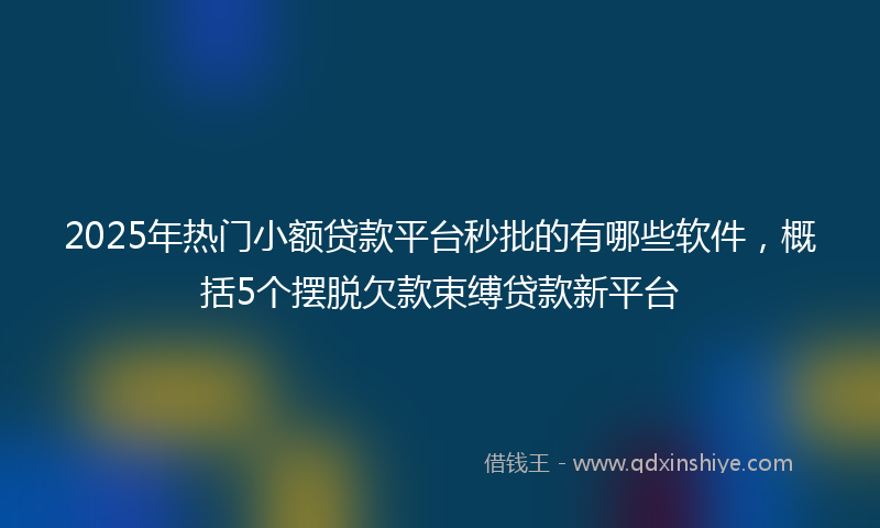 2025年热门小额贷款平台秒批的有哪些软件，概括5个摆脱欠款束缚贷款新平台