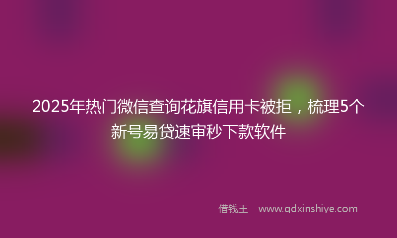 2025年热门微信查询花旗信用卡被拒，梳理5个新号易贷速审秒下款软件