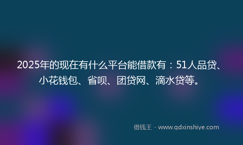2025年的现在有什么平台能借款有:51人品贷、小花钱包、省呗、团贷网、滴水贷等。