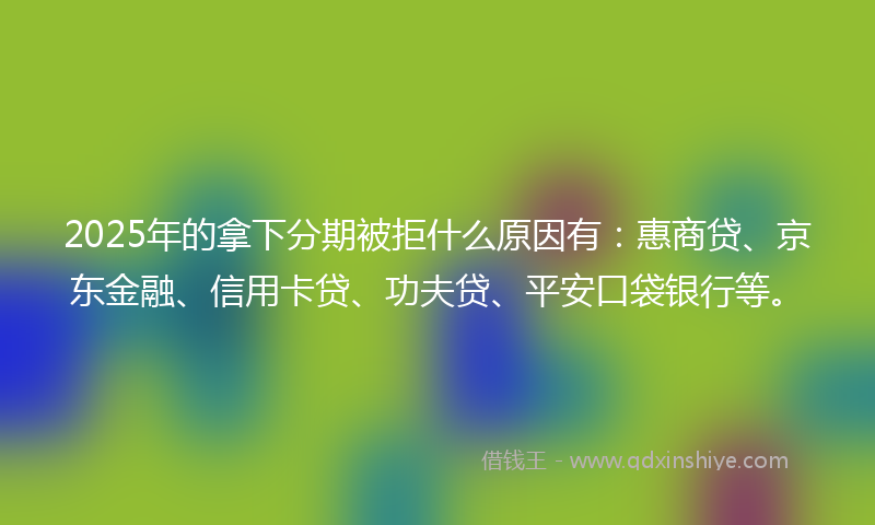 2025年的拿下分期被拒什么原因有：惠商贷、京东金融、信用卡贷、功夫贷、平安口袋银行等。