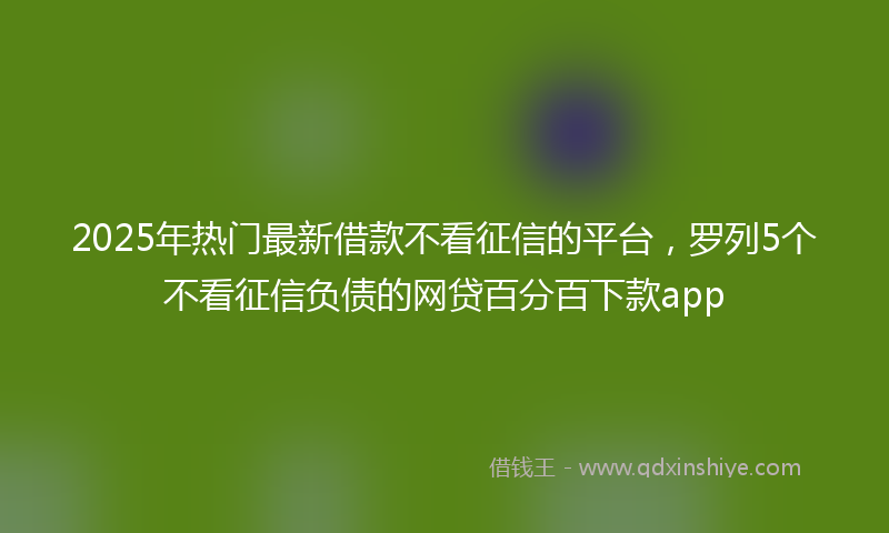 2025年热门最新借款不看征信的平台，罗列5个不看征信负债的网贷百分百下款app