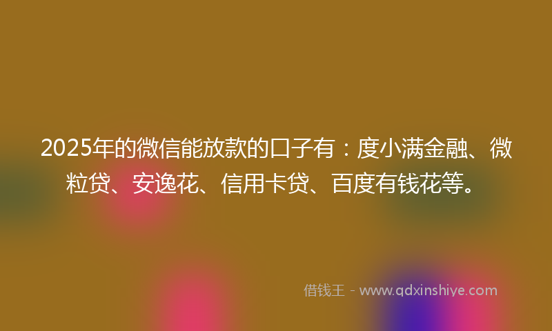 2025年的微信能放款的口子有：度小满金融、微粒贷、安逸花、信用卡贷、百度有钱花等。