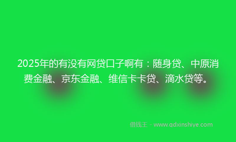 2025年的有没有网贷口子啊有：随身贷、中原消费金融、京东金融、维信卡卡贷、滴水贷等。