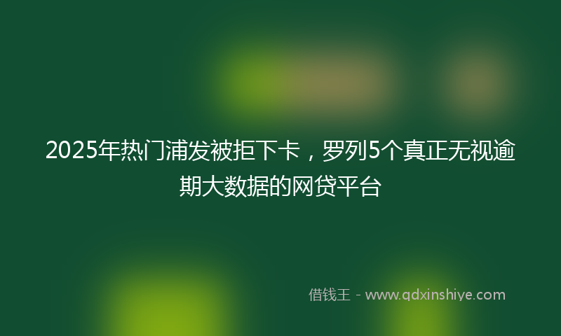 2025年热门浦发被拒下卡，罗列5个真正无视逾期大数据的网贷平台