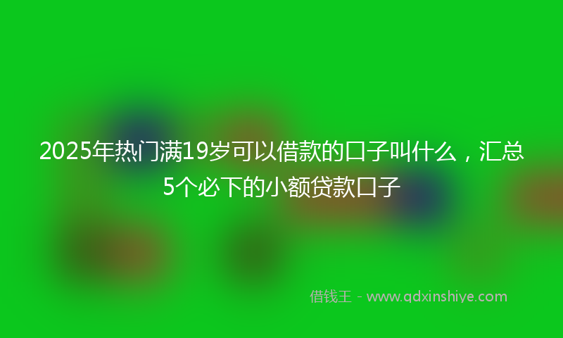 2025年热门满19岁可以借款的口子叫什么，汇总5个必下的小额贷款口子
