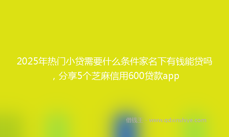 2025年热门小贷需要什么条件家名下有钱能贷吗，分享5个芝麻信用600贷款app