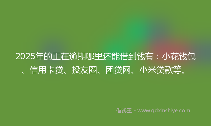2025年的正在逾期哪里还能借到钱有：小花钱包、信用卡贷、投友圈、团贷网、小米贷款等。