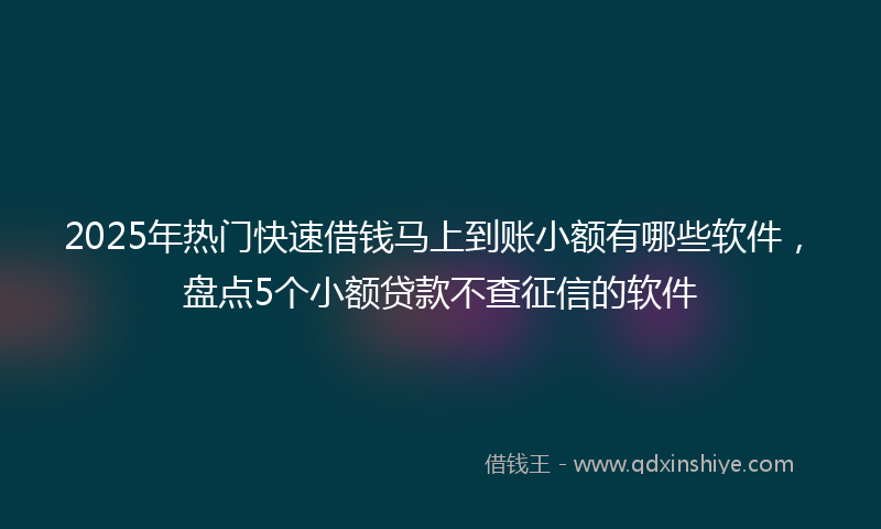 2025年热门快速借钱马上到账小额有哪些软件,盘点5个小额贷款不查征信的软件