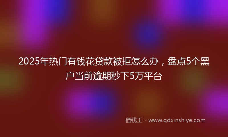 2025年热门有钱花贷款被拒怎么办，盘点5个黑户当前逾期秒下5万平台