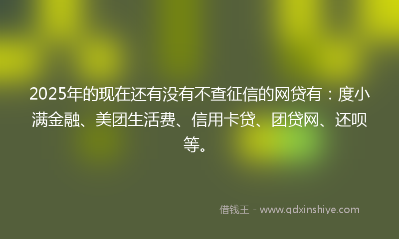 2025年的现在还有没有不查征信的网贷有：度小满金融、美团生活费、信用卡贷、团贷网、还呗等。