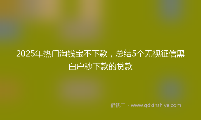 2025年热门淘钱宝不下款，总结5个无视征信黑白户秒下款的贷款