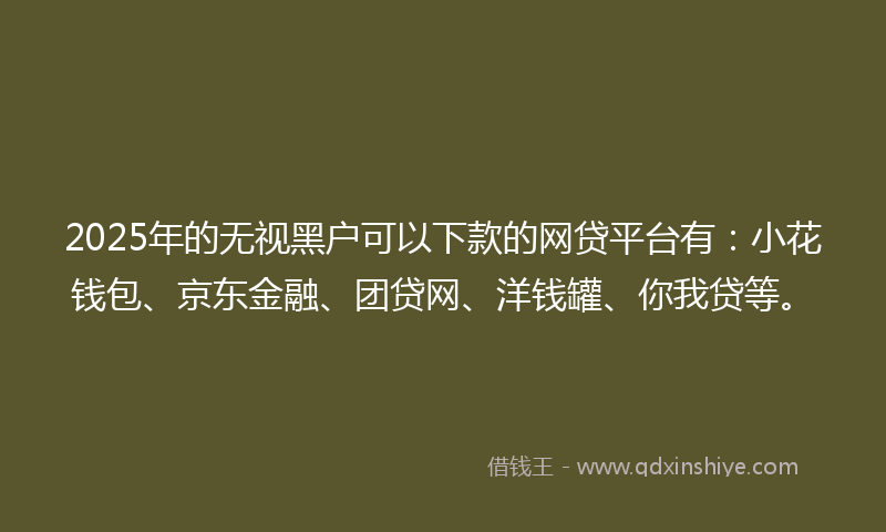 2025年的无视黑户可以下款的网贷平台有：小花钱包、京东金融、团贷网、洋钱罐、你我贷等。
