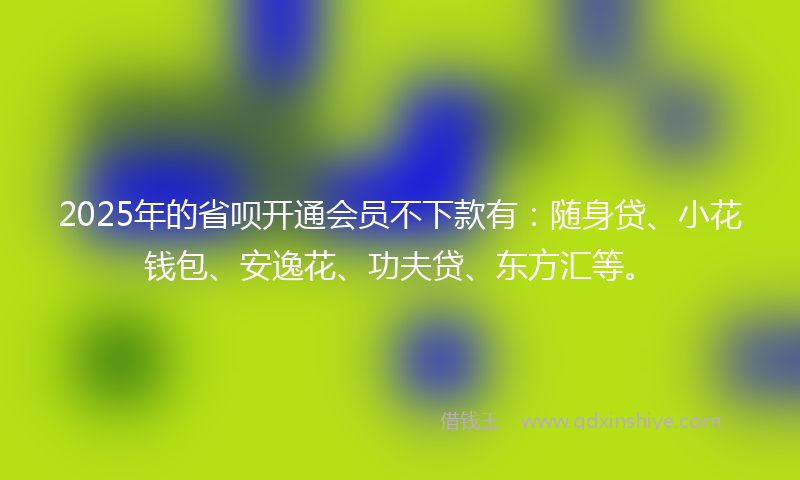 2025年的省呗开通会员不下款有：随身贷、小花钱包、安逸花、功夫贷、东方汇等。