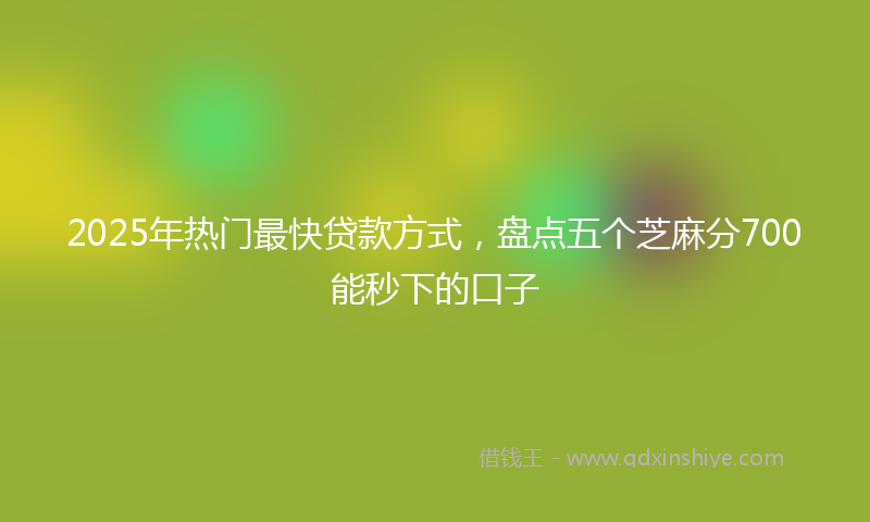 2025年热门最快贷款方式，盘点五个芝麻分700能秒下的口子