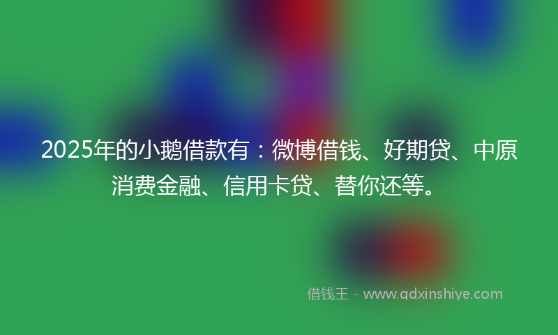 2025年的小鹅借款有：微博借钱、好期贷、中原消费金融、信用卡贷、替你还等。