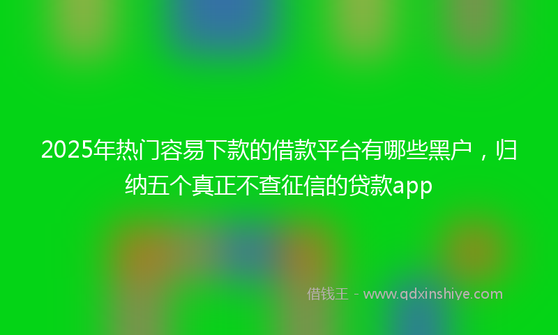 2025年热门容易下款的借款平台有哪些黑户，归纳五个真正不查征信的贷款app