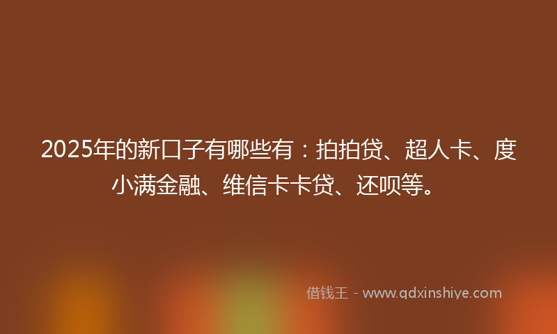 2025年的新口子有哪些有：拍拍贷、超人卡、度小满金融、维信卡卡贷、还呗等。