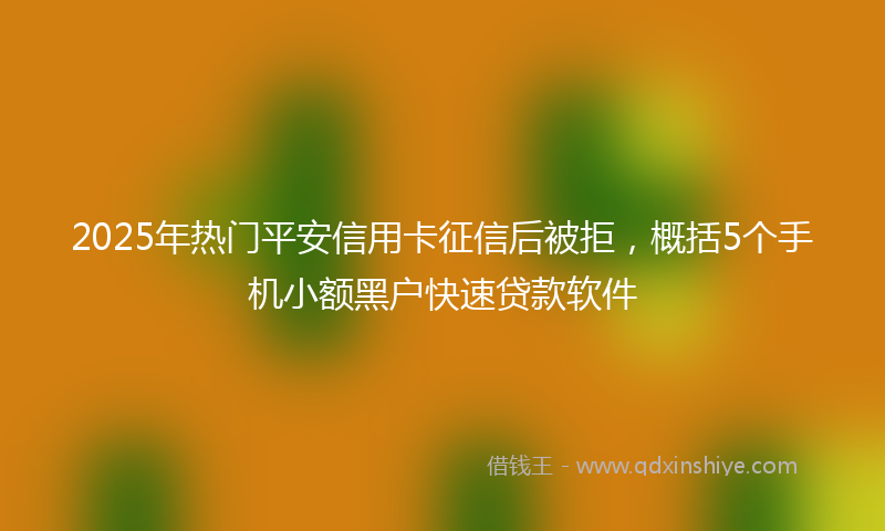 2025年热门平安信用卡征信后被拒，概括5个手机小额黑户快速贷款软件