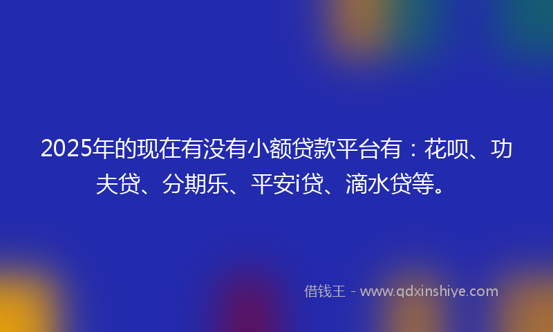 2025年的现在有没有小额贷款平台有：花呗、功夫贷、分期乐、平安i贷、滴水贷等。