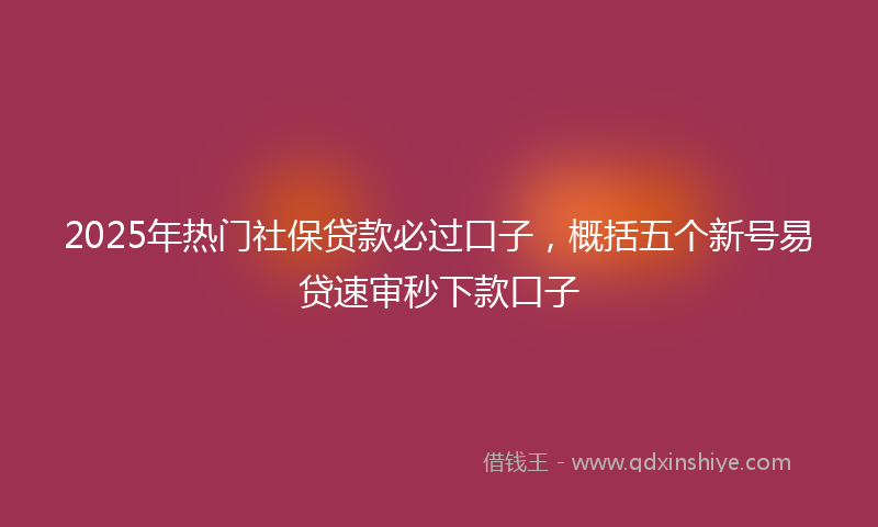 2025年热门社保贷款必过口子，概括五个新号易贷速审秒下款口子