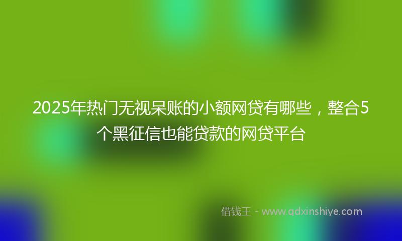 2025年热门无视呆账的小额网贷有哪些，整合5个黑征信也能贷款的网贷平台