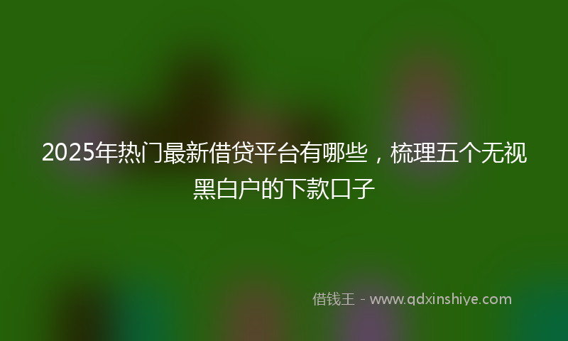 2025年热门最新借贷平台有哪些，梳理五个无视黑白户的下款口子