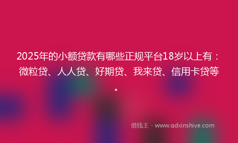 2025年的小额贷款有哪些正规平台18岁以上有：微粒贷、人人贷、好期贷、我来贷、信用卡贷等。
