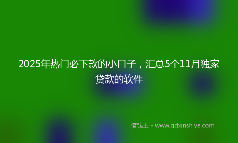 2025年热门必下款的小口子，汇总5个11月独家贷款的软件