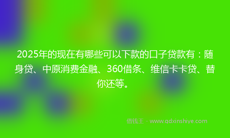 2025年的现在有哪些可以下款的口子贷款有：随身贷、中原消费金融、360借条、维信卡卡贷、替你还等。