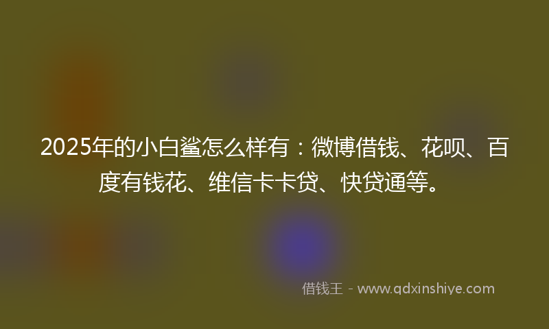 2025年的小白鲨怎么样有：微博借钱、花呗、百度有钱花、维信卡卡贷、快贷通等。