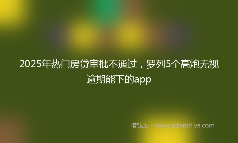 2025年热门房贷审批不通过，罗列5个高炮无视逾期能下的app