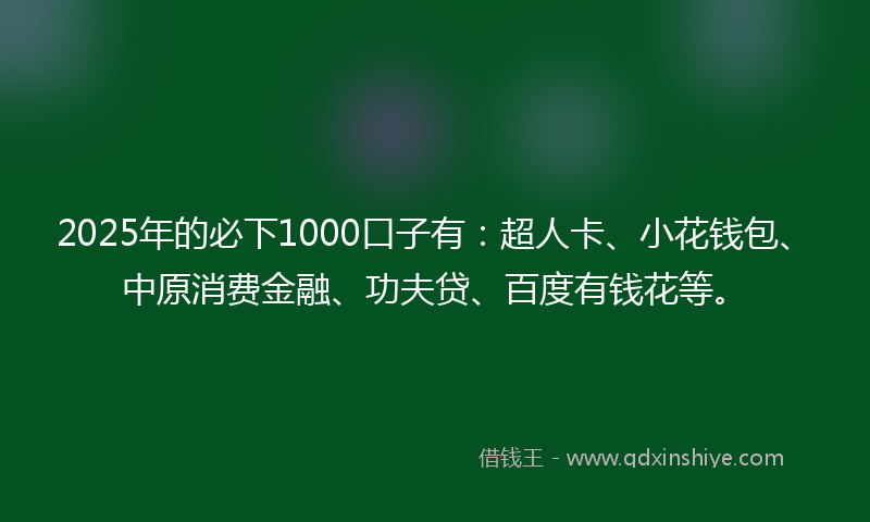 2025年的必下1000口子有：超人卡、小花钱包、中原消费金融、功夫贷、百度有钱花等。