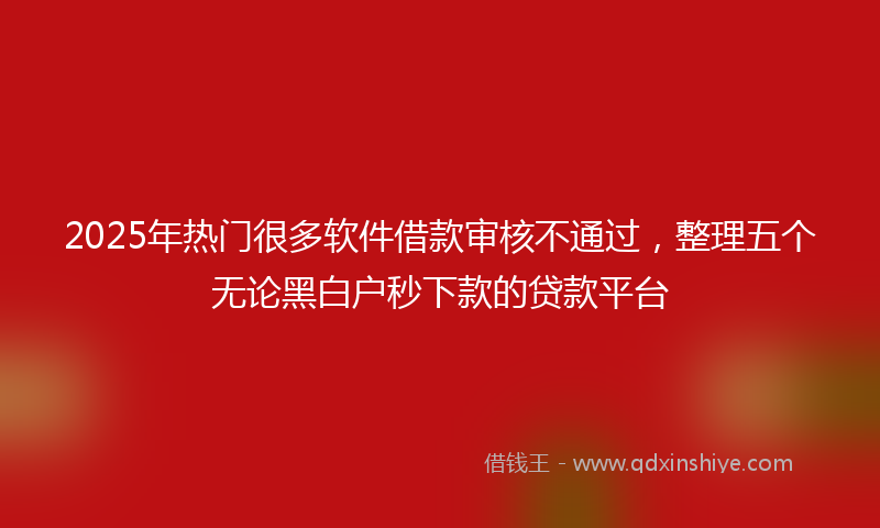2025年热门很多软件借款审核不通过，整理五个无论黑白户秒下款的贷款平台