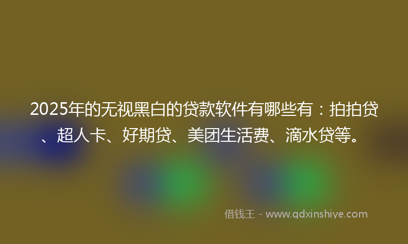 2025年的无视黑白的贷款软件有哪些有：拍拍贷、超人卡、好期贷、美团生活费、滴水贷等。