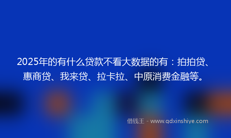 2025年的有什么贷款不看大数据的有：拍拍贷、惠商贷、我来贷、拉卡拉、中原消费金融等。
