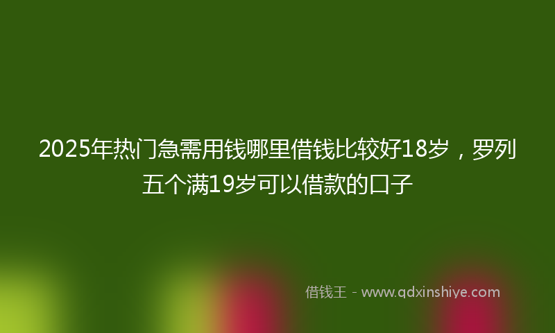 2025年热门急需用钱哪里借钱比较好18岁，罗列五个满19岁可以借款的口子
