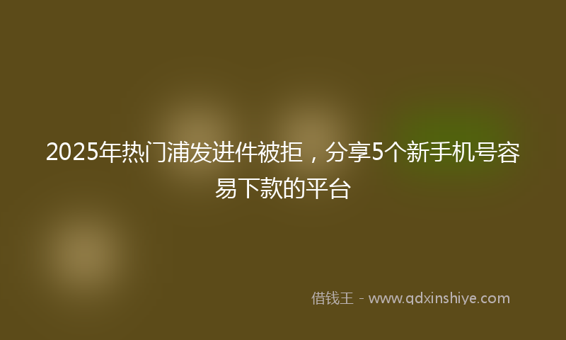 2025年热门浦发进件被拒，分享5个新手机号容易下款的平台