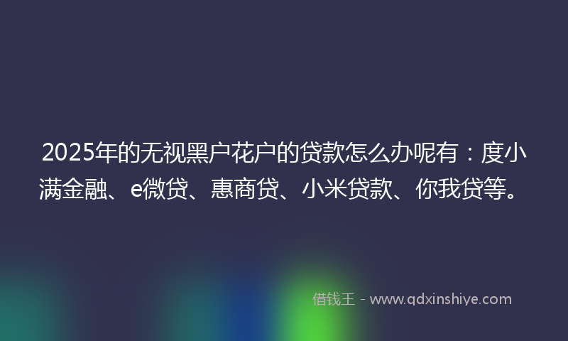 2025年的无视黑户花户的贷款怎么办呢有：度小满金融、e微贷、惠商贷、小米贷款、你我贷等。