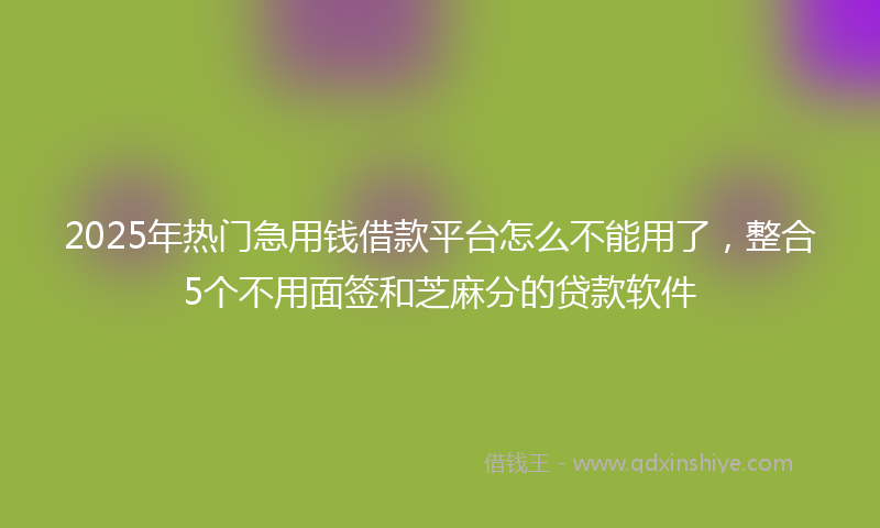 2025年热门急用钱借款平台怎么不能用了，整合5个不用面签和芝麻分的贷款软件
