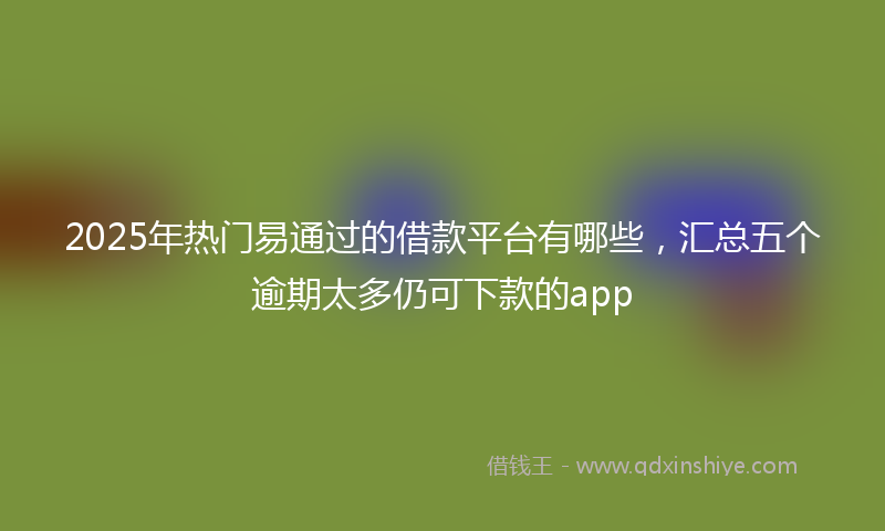 2025年热门易通过的借款平台有哪些，汇总五个逾期太多仍可下款的app