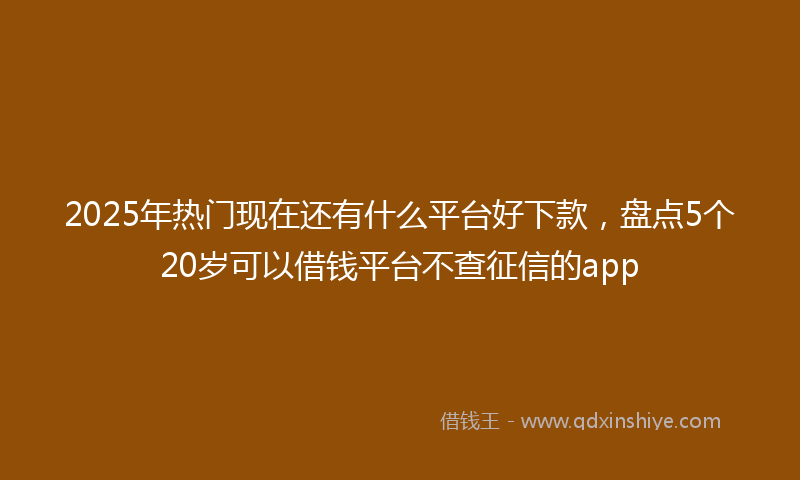 2025年热门现在还有什么平台好下款，盘点5个20岁可以借钱平台不查征信的app