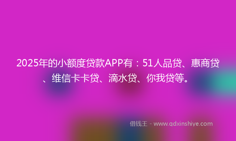 2025年的小额度贷款APP有：51人品贷、惠商贷、维信卡卡贷、滴水贷、你我贷等。