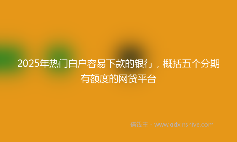 2025年热门白户容易下款的银行，概括五个分期有额度的网贷平台