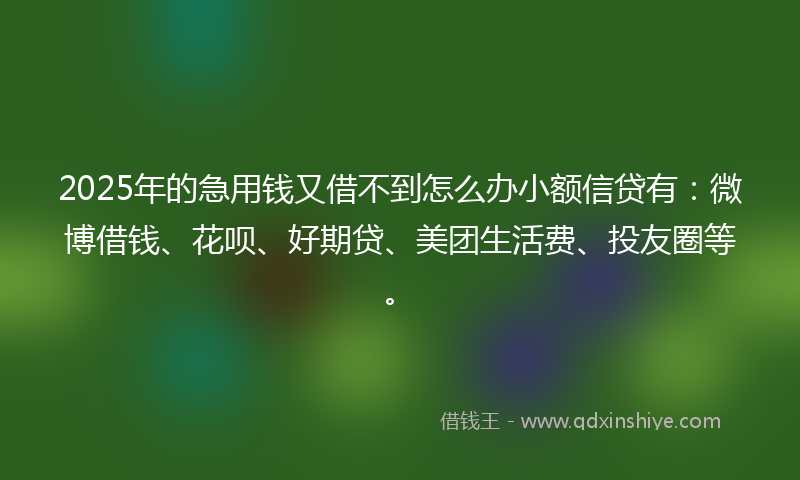 2025年的急用钱又借不到怎么办小额信贷有：微博借钱、花呗、好期贷、美团生活费、投友圈等。