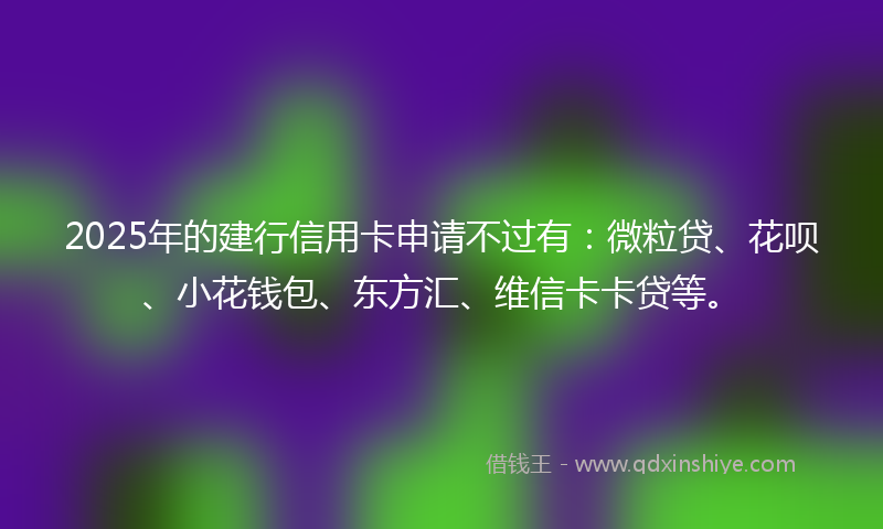 2025年的建行信用卡申请不过有：微粒贷、花呗、小花钱包、东方汇、维信卡卡贷等。