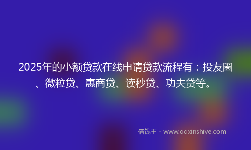 2025年的小额贷款在线申请贷款流程有：投友圈、微粒贷、惠商贷、读秒贷、功夫贷等。